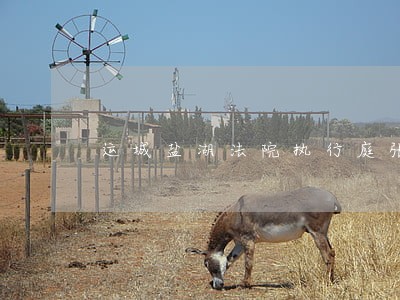 运城盐湖法院执行庭张 运城盐湖法院执行庭张
