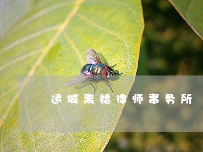 运城离婚律师事务所 运城离婚律师事务所