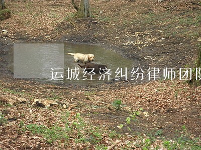 运城经济纠纷律师团队 运城经济纠纷律师团队
