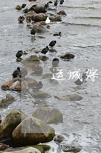 运城综合工程纠纷案律师联系方式 运城综合工程纠纷案律师联系方式