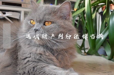 运城财产纠纷法律咨询 运城财产纠纷法律咨询