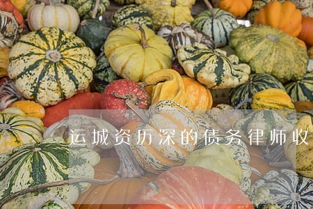 运城资历深的债务律师收费多少 运城资历深的债务律师收费多少