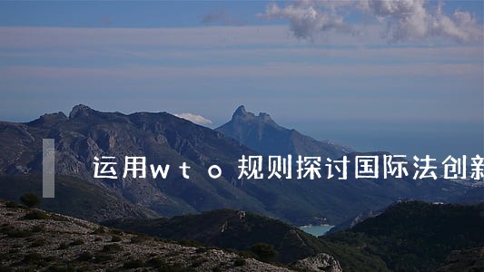 运用wto规则探讨国际法创新 运用wto规则探讨国际法创新