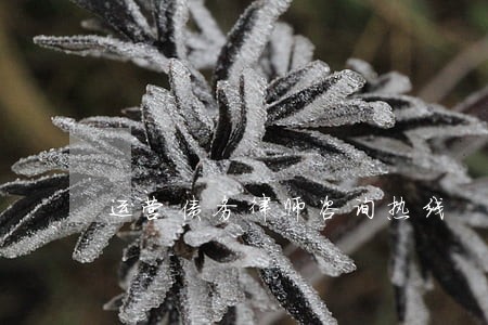 运营债务律师咨询热线 运营债务律师咨询热线