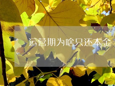 运营期为啥只还本金 运营期为啥只还本金