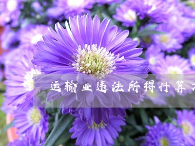 运输业违法所得计算方法 运输业违法所得计算方法