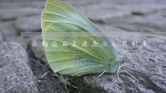 运输企业交通违法处罚制度 运输企业交通违法处罚制度