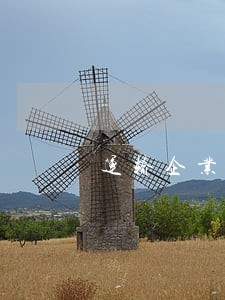 运输企业交通违法整治工作方案 运输企业交通违法整治工作方案