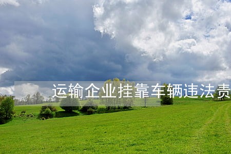 运输企业挂靠车辆违法责任