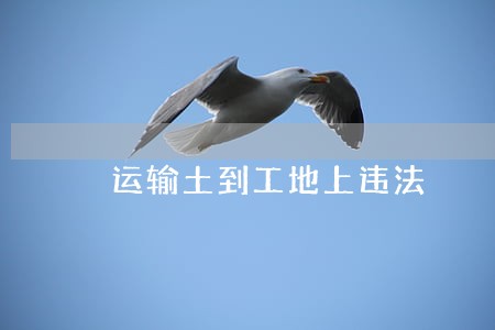 运输土到工地上违法 运输土到工地上违法