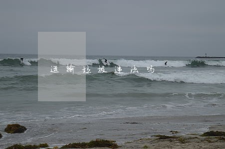 运输垃圾违法吗