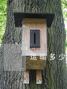 运输多少鞭炮违法