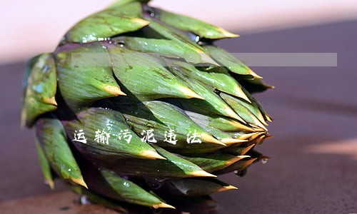 运输污泥违法 运输污泥违法