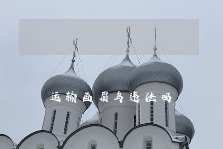运输画眉鸟违法吗