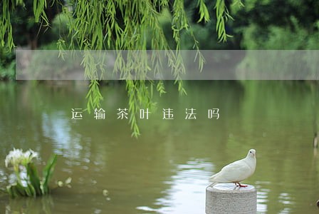 运输茶叶违法吗 运输茶叶违法吗
