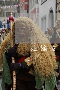 运输货物损失诉讼主体 运输货物损失诉讼主体