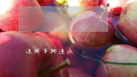 运输车辆违法 运输车辆违法