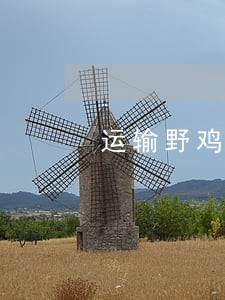运输野鸡违法吗
