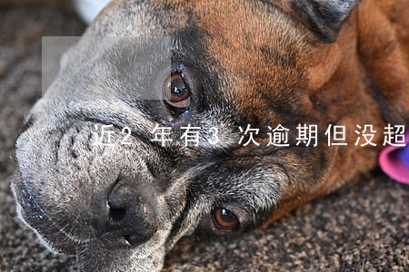 近2年有3次逾期但没超过90天 近2年有3次逾期但没超过90天