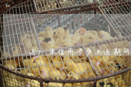 近5年信用卡多次逾期网贷未结清 近5年信用卡多次逾期网贷未结清