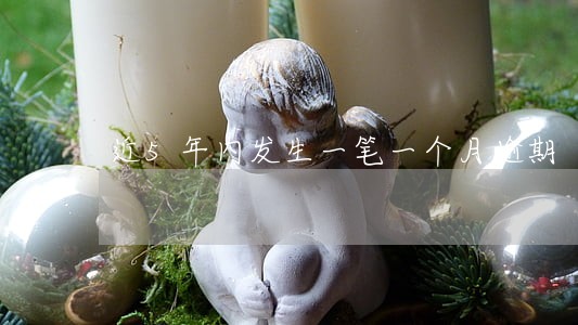 近5年内发生一笔一个月逾期 近5年内发生一笔一个月逾期