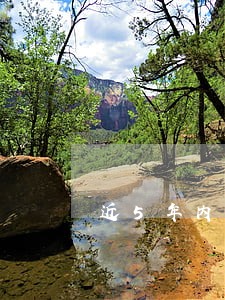 近5年内有一个月逾期 近5年内有一个月逾期