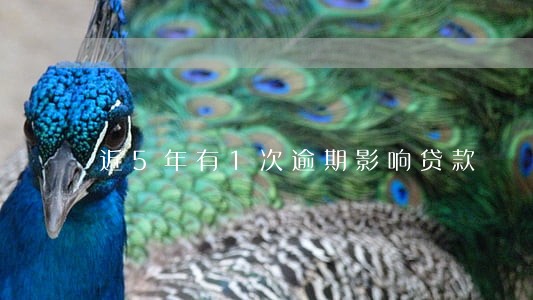 近5年有1次逾期影响贷款 近5年有1次逾期影响贷款