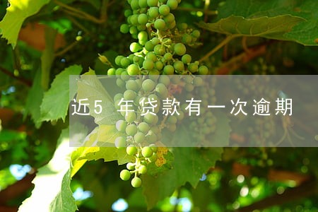 近5年贷款有一次逾期 近5年贷款有一次逾期