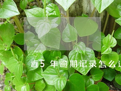 近5年逾期记录怎么认定 近5年逾期记录怎么认定