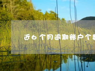 近6个月逾期账户个数怎么填写 近6个月逾期账户个数怎么填写