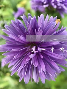 近一年有10次逾期 近一年有10次逾期