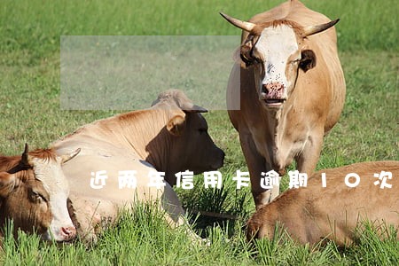 近两年信用卡逾期10次抵押贷款