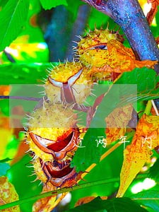 近两年内信用卡逾期五次 近两年内信用卡逾期五次