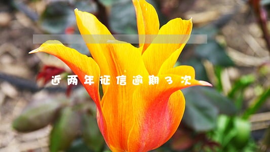 近两年征信逾期3次 近两年征信逾期3次