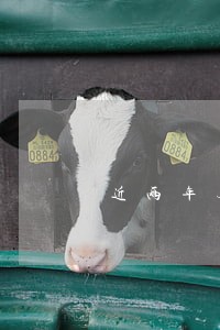 近两年无逾期能办信用卡吗 近两年无逾期能办信用卡吗