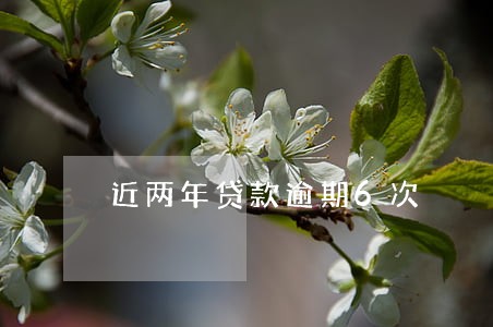 近两年贷款逾期6次 近两年贷款逾期6次
