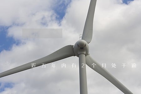 近五年内有2个月处于逾期状态 近五年内有2个月处于逾期状态