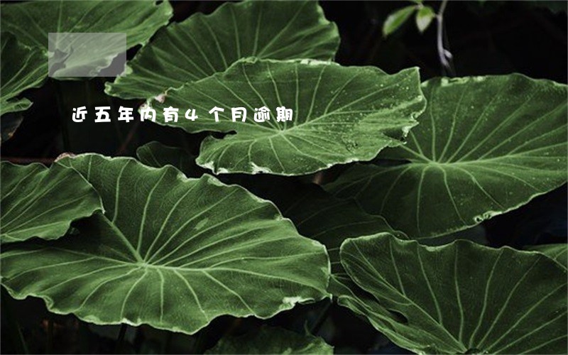 近五年内有4个月逾期 近五年内有4个月逾期