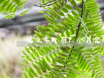 近五年内有7个月逾期 近五年内有7个月逾期