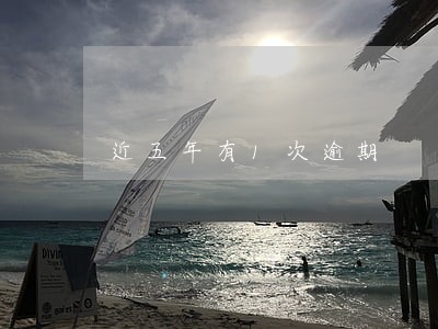 近五年有1次逾期 近五年有1次逾期