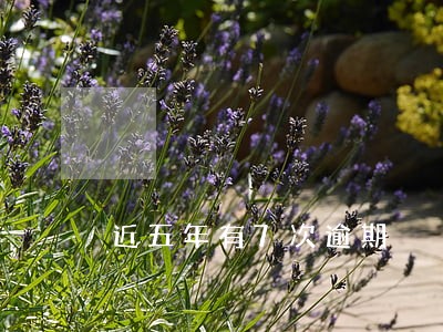近五年有7次逾期 近五年有7次逾期