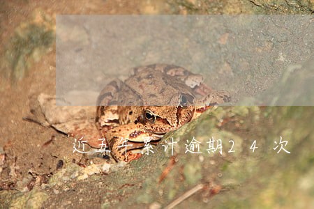 近五年累计逾期24次 近五年累计逾期24次