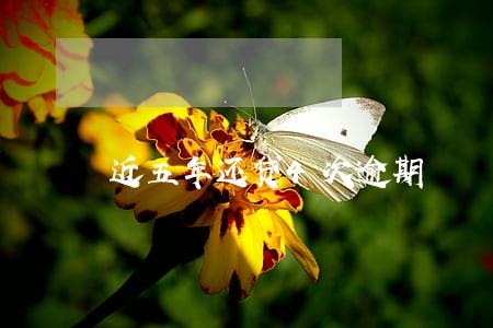 近五年还贷4次逾期 近五年还贷4次逾期