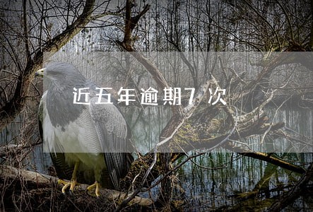 近五年逾期7次 近五年逾期7次