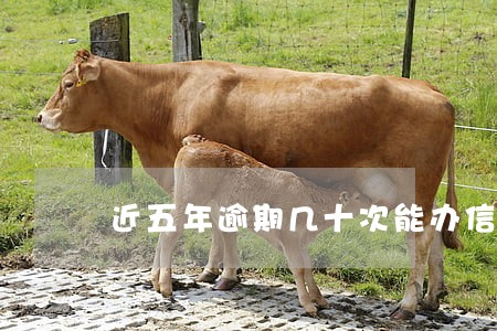 近五年逾期几十次能办信用卡