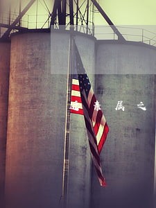 近亲属之间违法犯罪受法律追究吗 近亲属之间违法犯罪受法律追究吗