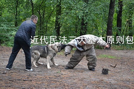 近代民法三大基本原则包括 近代民法三大基本原则包括