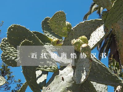 近代的离婚协议书 近代的离婚协议书