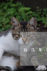 近几年没有逾期能网贷吗 近几年没有逾期能网贷吗