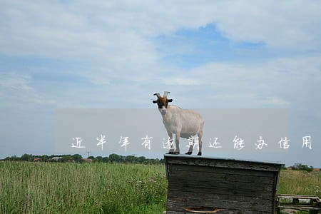 近半年有逾期还能办信用卡
